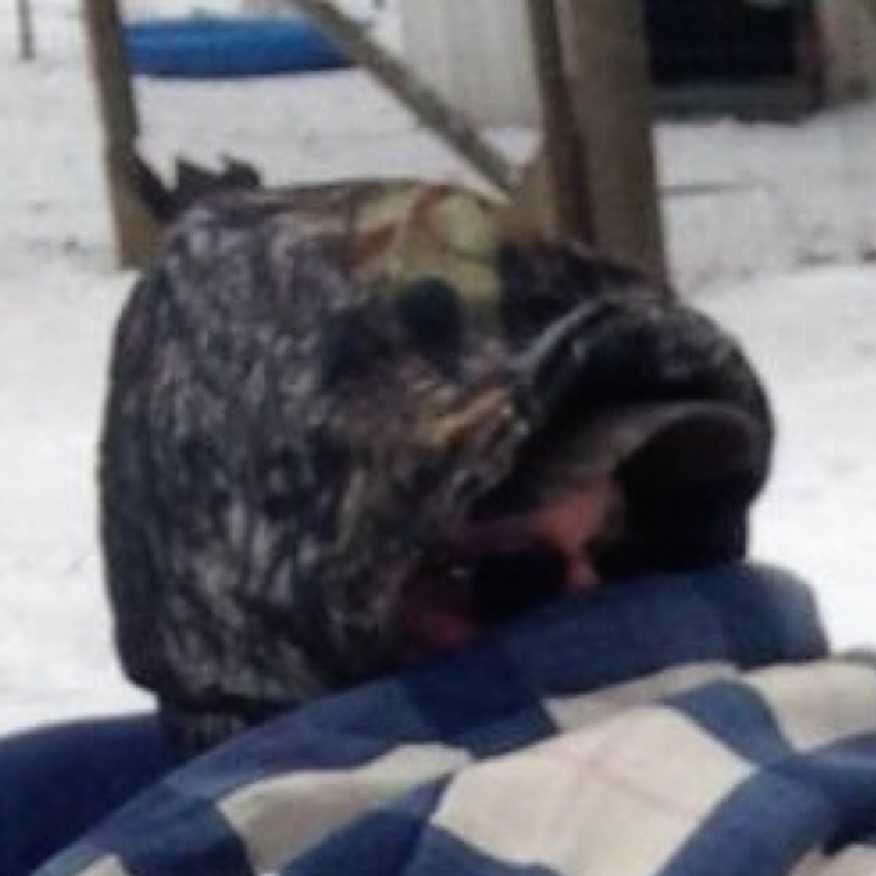 BillSandersFarm's profile picture. 