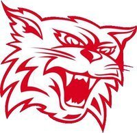 Swindon Rec Wildcats