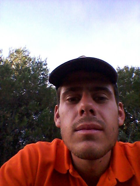 HoyoReina's profile picture. 