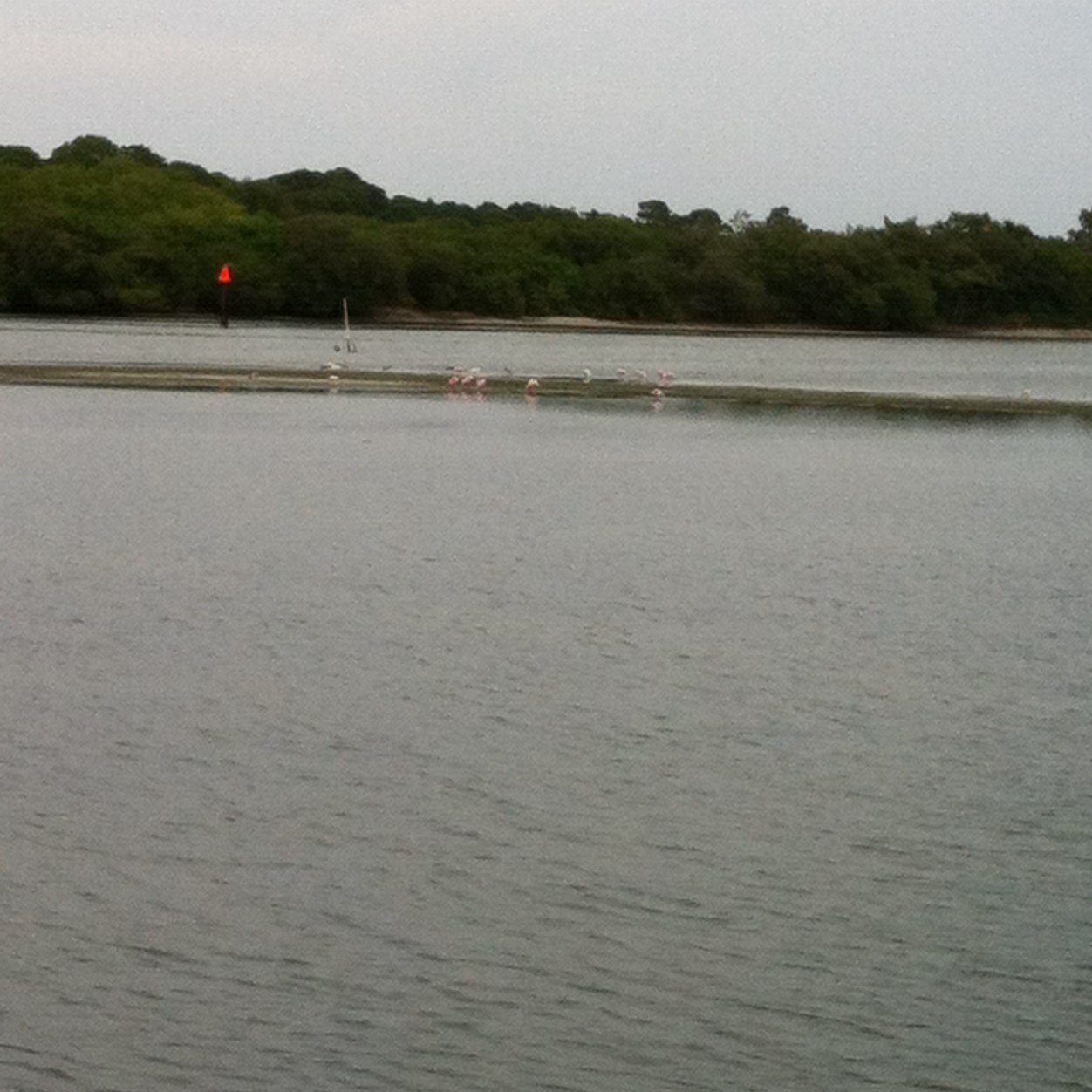 mspsllone01's profile picture. 