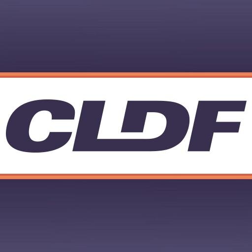 CLDFoundation Profile