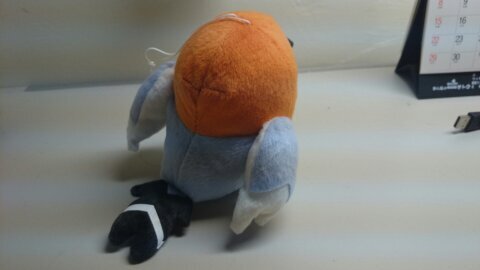 帯広西小→帯広二中→帯広三条→釧教2専