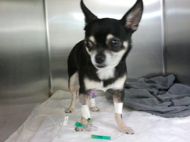 mdubya01's profile picture. 