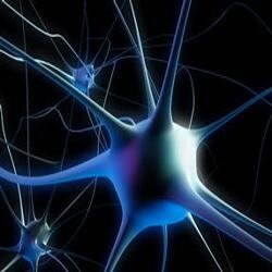 Center for Neuroscience and Society at the Univ. of Pennsylvania encourages understanding of the impact of neuroscience on society. RT =/= endorsement.