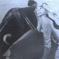 Luis De Pauloba (@luisdepauloba) 's Twitter Profile