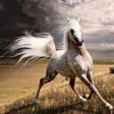 jose ignacio cardona - @josecardona70 - Twitter