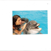 Bashak Demirel (@bashakdemirel) 's Twitter Profile