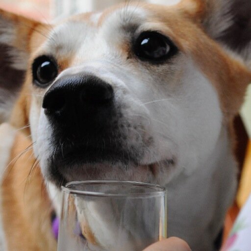 irisindia1's profile picture. Prefiero no mirar atrás, pero aunque miro hacia delante sigo tropezando.