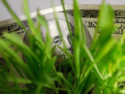 HiddenMoneyTPA's profile picture. ☼ Cont' the anonymous social experiment for good ☼ Real Cash hidden around Tampa & beyond. Find the $ - share tweetphoto + tag @HiddenMoneyTPA