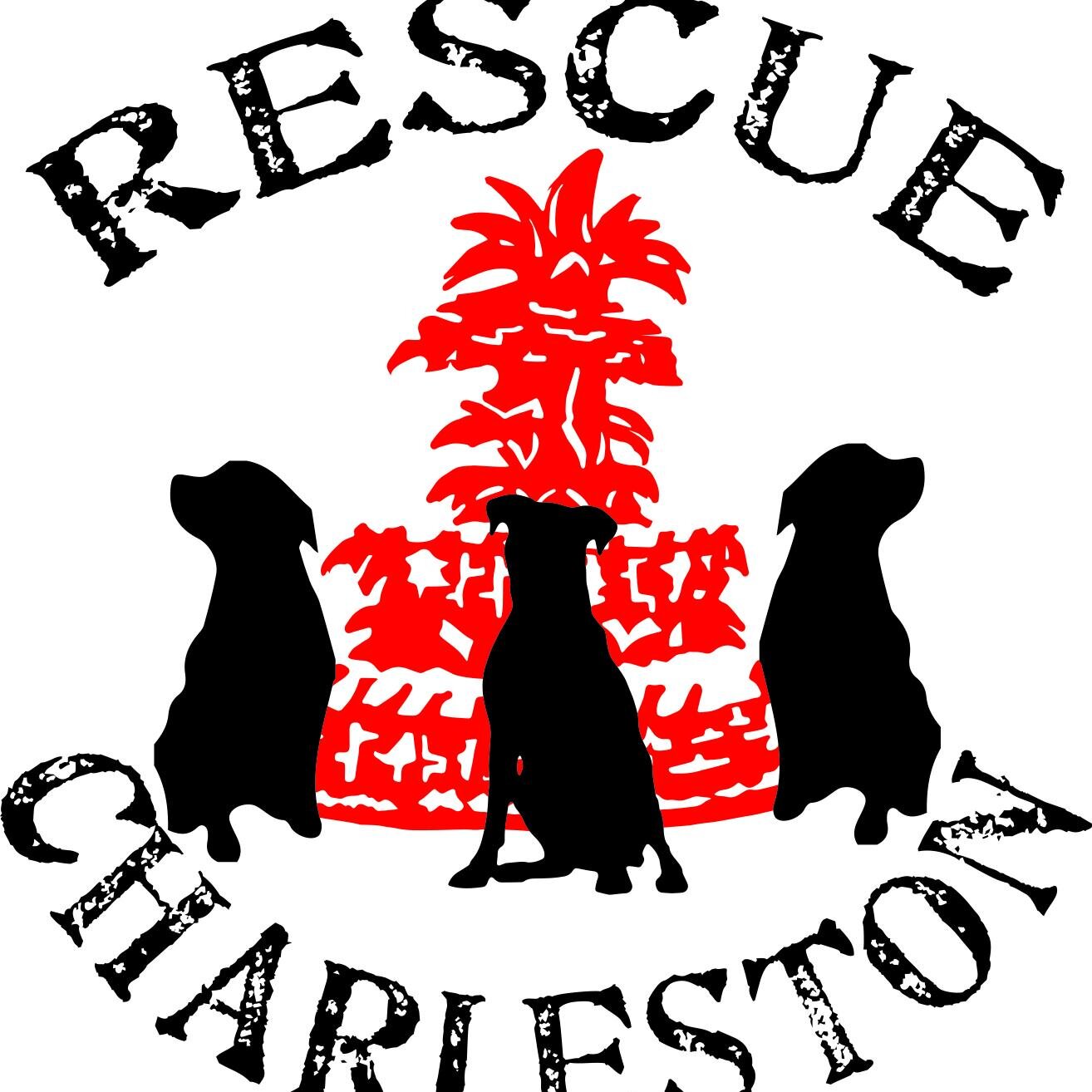 RescueChas's profile picture. Our mission: No Bully Left Behind™! We rescue and rehome bully breeds that are at risk for euthanasia.