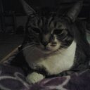 carol suiter - @csmileyone238 - Twitter