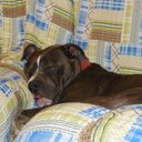 Ronald Edwin Davis - @elitearms1 - Twitter