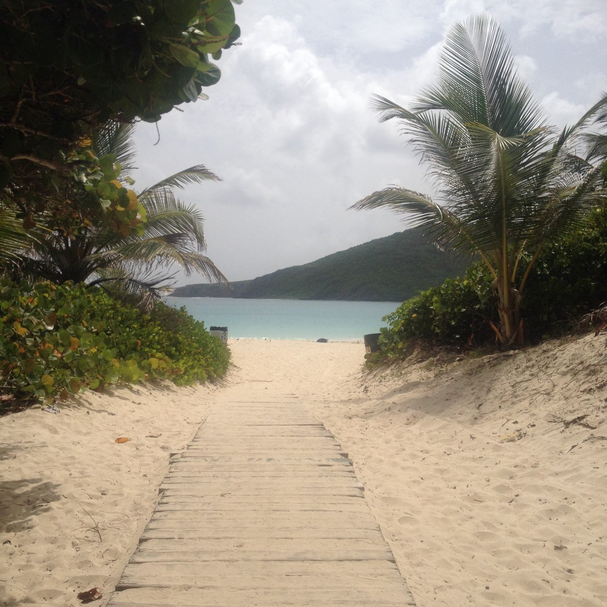 2018venn's profile picture. 