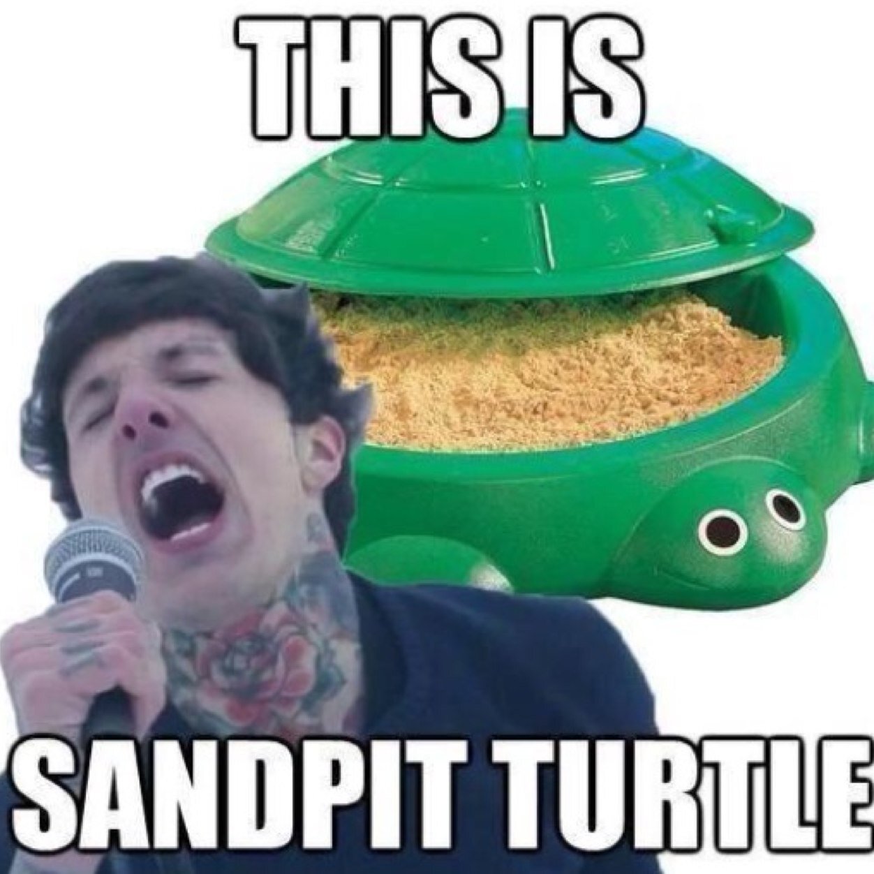 this is sandpit turtle shirt