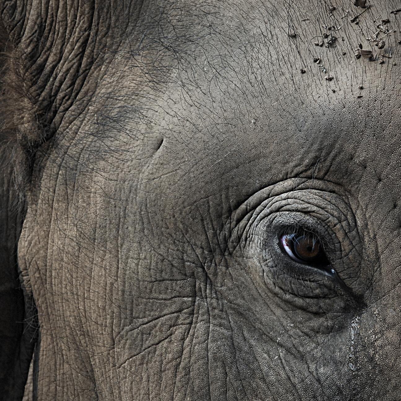 Kristy Boyce is a freelance photographer, & interdisciplinary artist. She is available for assignment worldwide.
