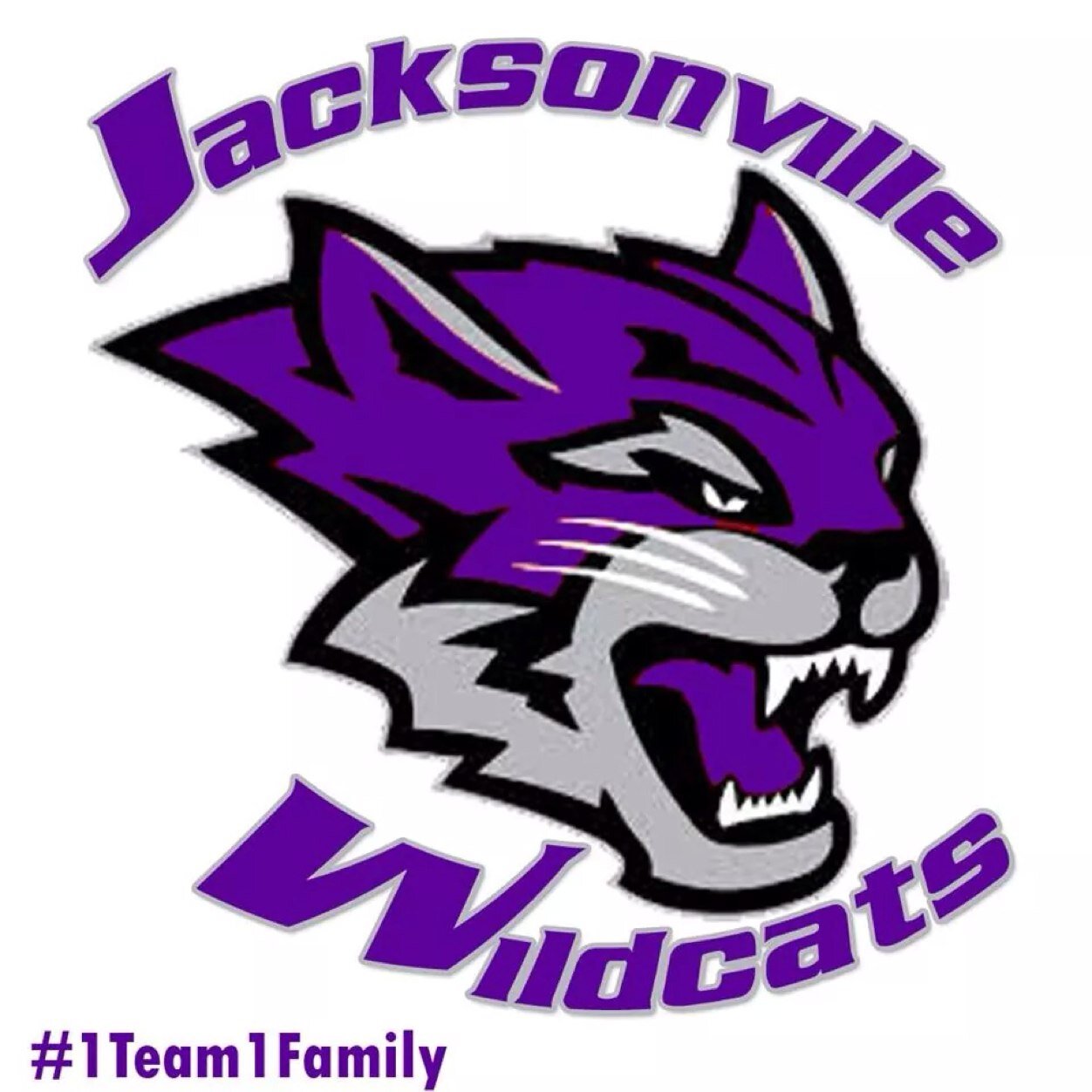 South Coast Developmental Football League...Coastal Conference...Southeastern Divison...jaxwildcats@ymail.com...(904)800-7756
