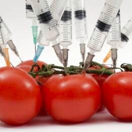 PIDATYS's profile picture. 