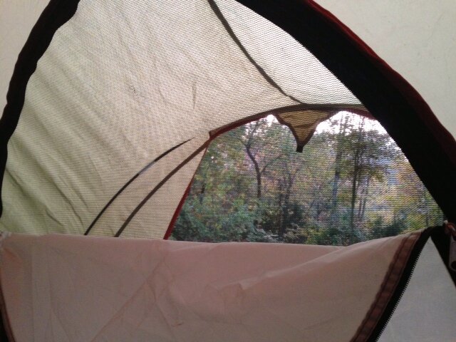 AMDarst's profile picture. simplification in progress