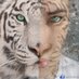 Learn Photo Editing (@venuusfactor) Twitter profile photo