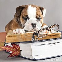 bulldogbookclub (@bulldogbookclub) 's Twitter Profile Photo