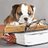 bulldogbookclub's profile image