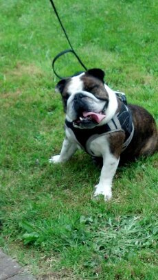 rbarr110's profile picture. 