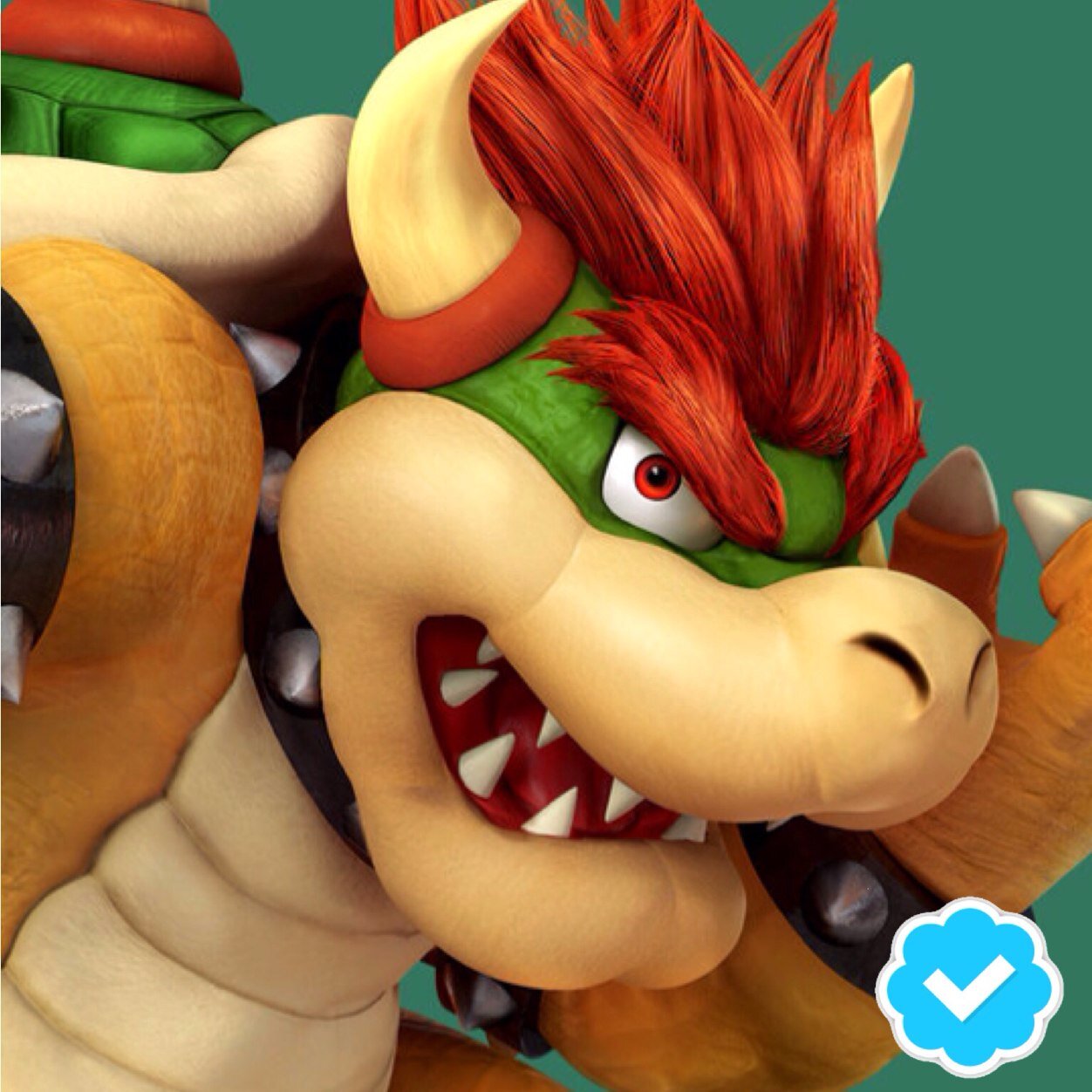 The big, boastful bruiser of the Mushroom Kingdom. Also ruler of the Koopas. #MultiverseRoleplay