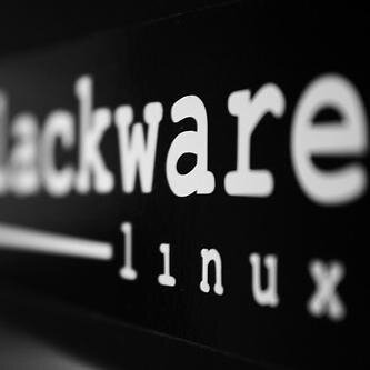 denicwibowo's profile picture. I'm nothing