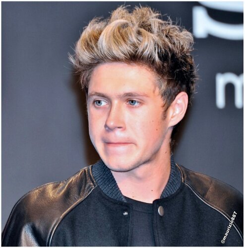 @waliyhamalik and niall james horan my love3