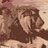 BigBarbaryCat's profile image