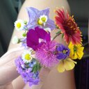 Lara Bradshaw - @weathergrl - Twitter