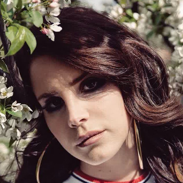 HadarDelrey's profile picture. Nancy sinatra follows