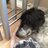 michell_hill's profile image