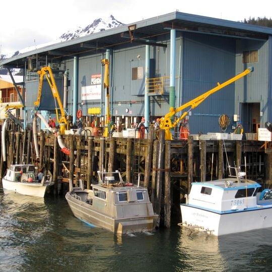 American made, community based since 1910.  Building sustainable communities and great jobs while maintaining good stewardship of Alaska's seafood resource.