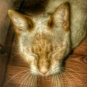 ADRIAN (@02d7dd1cba7d470) Twitter