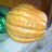 nogueira_adolfo's profile image