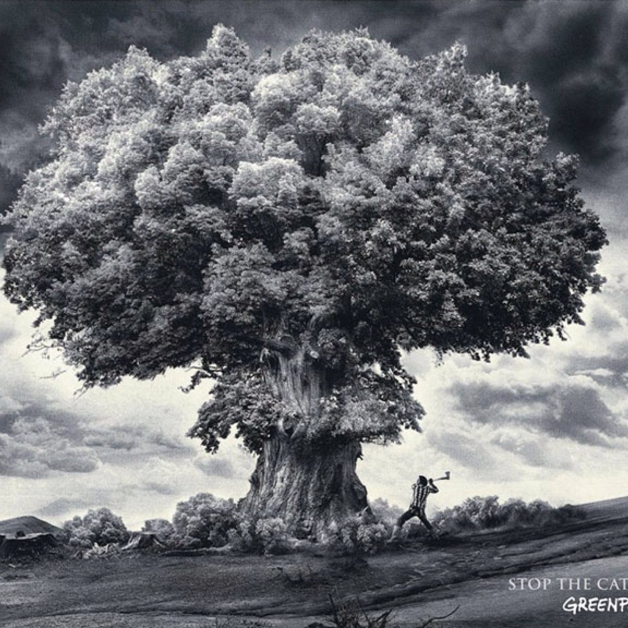 necroya's profile picture. Viviendo la vida