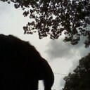 Bruno Cox - @BrunoThePup - Twitter