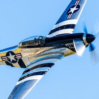 Scott Yoak (@quicksilverp51) 's Twitter Profile