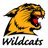 dhsbball's profile image