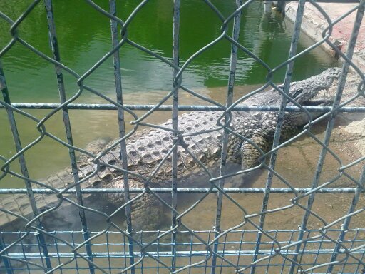 moralnavas's profile picture. 