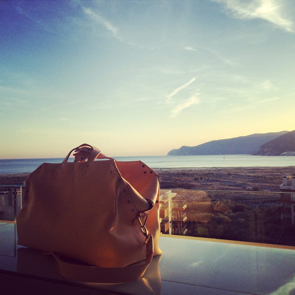 buttsshoulders's profile picture. 