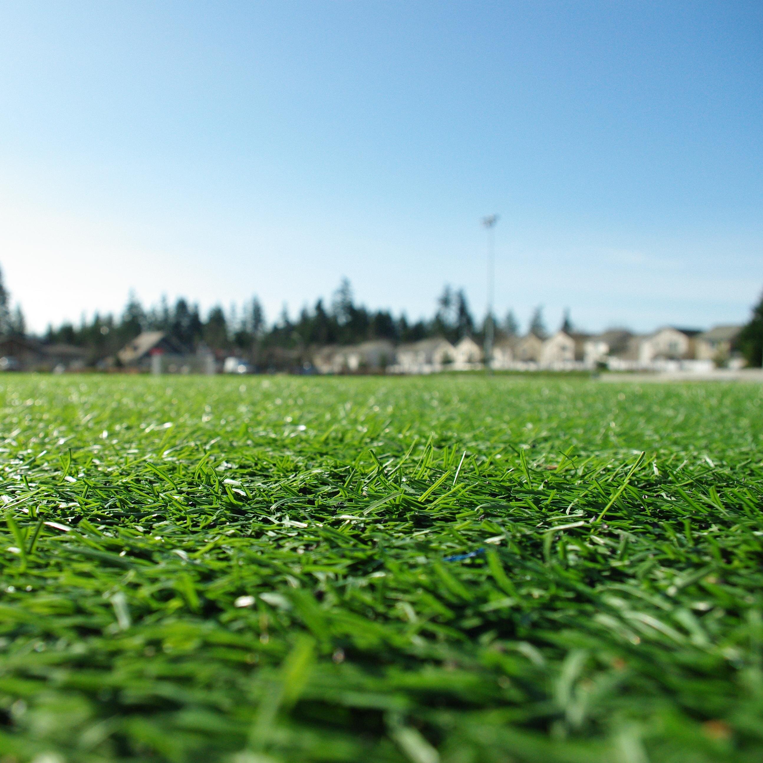 faketurfphoenix's profile picture. Best Artificial Turf in Phoenix Arizona