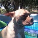 Dan Abbate - @abbated - Twitter