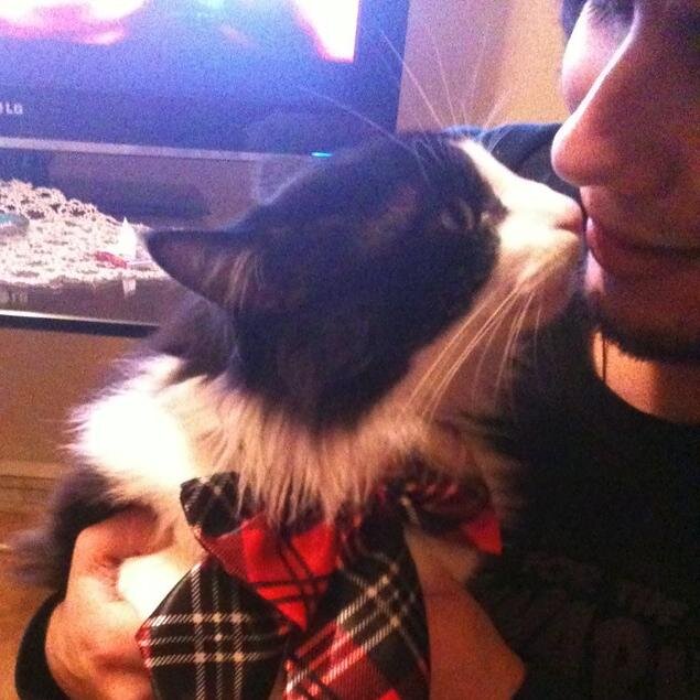 Aldrahh's profile picture. 