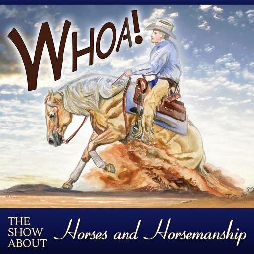 I help recreational riders learn more about horses and horsemanship through my audio podcast. Heard in over 90 countries since 2012. Listen today.