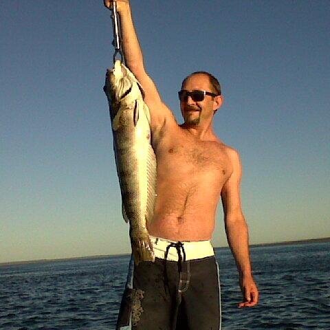 dlopezsao's profile picture. 