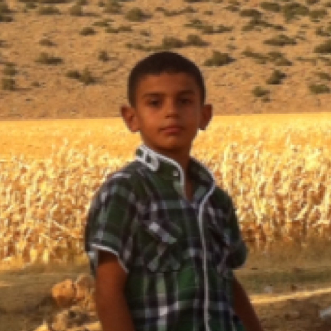 hilmisanci6's profile picture. 