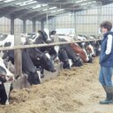 Elizabeth Keyes - @Lizisthefarmer - Twitter