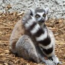 tracy de - @tracy28au - Twitter